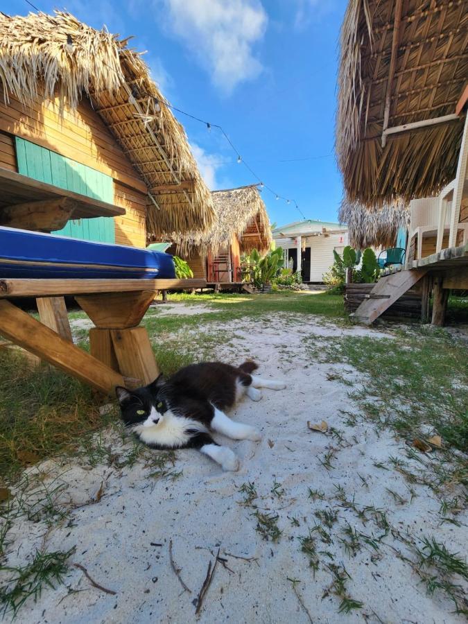 Saona Lodge Mano Juan Kültér fotó